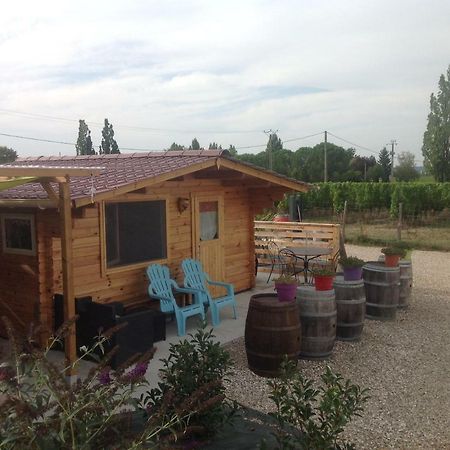 Bed and Breakfast Le Sang Des Vignes Monbazillac Zewnętrze zdjęcie